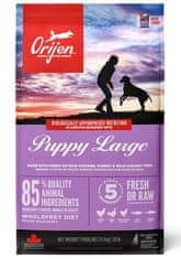 Orijen Orijen Puppy Large Breed 11,4Kg