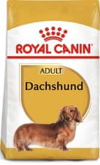 Royal Canin Royal Canin Dachshund Adult Krmivo Suché Pro Dospělé Psy Plemene Jezevčík 1,5K