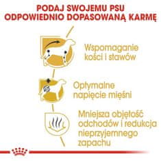 Royal Canin Royal Canin Dachshund Adult Krmivo Suché Pro Dospělé Psy Plemene Jezevčík 1,5K