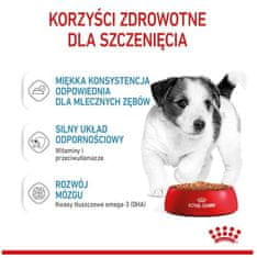 Royal Canin Royal Canin Mini Puppy Krmivo Mokré V Omáčce Pro Štěňata, Od 2 Do 10 Měsíců