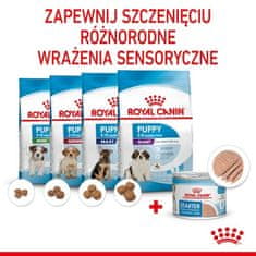 Royal Canin Royal Canin Starter Mother&Babydog Krmivo Mokré - Pěna, Pro Feny Během Těhotenství