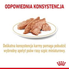 Royal Canin Royal Canin Pomeranian Adult Krmivo Pro Dospělé Psy Plemene Špice Mini