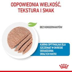 Royal Canin Royal Canin Starter Mother&Babydog Krmivo Mokré - Pěna, Pro Feny Během Těhotenství