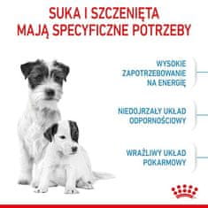 Royal Canin Royal Canin Mini Starter Mother&Babydog Krmivo Suché Pro Štěňata Do 2 Měs