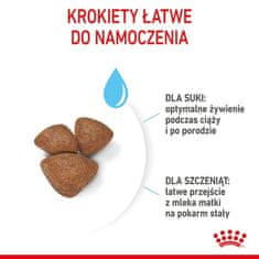 Royal Canin Royal Canin Mini Starter Mother&Babydog Krmivo Suché Pro Štěňata Do 2 Měs