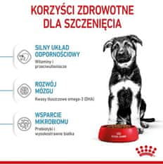 Royal Canin Royal Canin Maxi Puppy Krmivo Suché Pro Štěňata, Od 2 Do 15 Měsíců