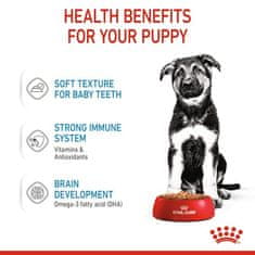 Royal Canin Royal Canin Maxi Puppy Krmivo Mokré V Omáčce Pro Štěňata, Od 2 Do 15 Měsíců