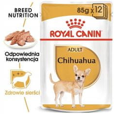 Royal Canin Royal Canin Chihuahua Adult Krmivo Mokré - Paštika, Pro Dospělé Psy Plemene