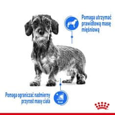 Royal Canin Royal Canin Mini Light Weight Care Krmivo Suché Pro Dospělé Psy, Malá Plemena