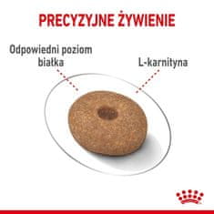 Royal Canin Royal Canin Mini Light Weight Care Krmivo Suché Pro Dospělé Psy, Malá Plemena