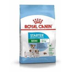 Royal Canin Royal Canin Mini Starter Mother&Babydog Krmivo Suché Pro Štěňata Do 2 Měs