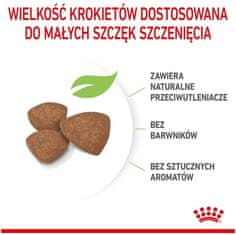 Royal Canin Royal Canin Mini Puppy Krmivo Pro Štěňata, Od 2 Do 10 Měsíců