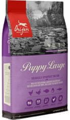 Orijen Orijen Puppy Large Breed 6Kg