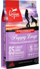 Orijen Orijen Puppy Large Breed 6Kg