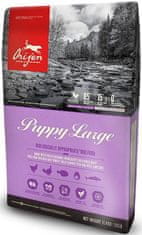 Orijen Orijen Puppy Large Breed 11,4Kg