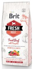 Brit Brit Fresh Dog Puppy Large Beef & Pumpkin 12Kg