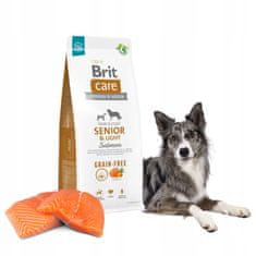 Brit Brit Care Grain Free Senior & Light Losos 12Kg