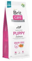 Brit Brit Care Grain Free Puppy Losos 3Kg