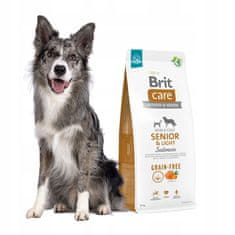 Brit Brit Care Grain Free Senior & Light Losos 12Kg