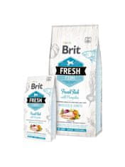 Brit Brit Fresh Dog Adult Large Fish & Pumpkin 12Kg