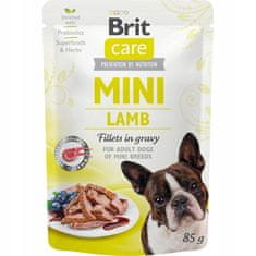 Brit Brit Care Dog Mini Venison Sáček 85G