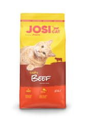 Josera Josicat Tasty Beef 10Kg