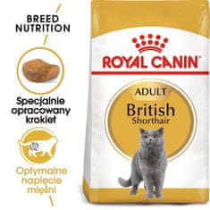 Royal Canin  British Shorthair Adult Krmivo Pro Dospělé Kočky Plemene Br