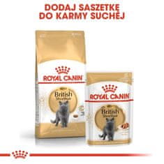 Royal Canin  British Shorthair Adult Krmivo Pro Dospělé Kočky Plemene Br