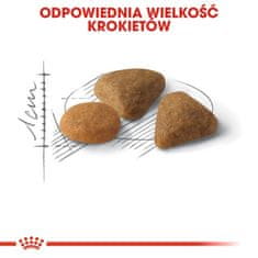 Royal Canin  Savour Exigent Krmivo Pro Dospělé Kočky, Vybíravé, Kie