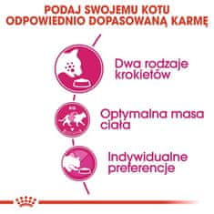 Royal Canin n Savour Exigent Krmivo Pro Dospělé Kočky, Vybíravé, Kie 2kg