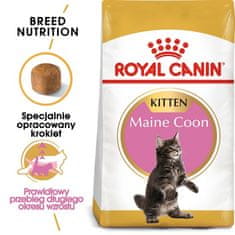Royal Canin  Maine Coon Kitten Krmivo Suché Pro Koťata, Do 15 Měsíců, Plemeno