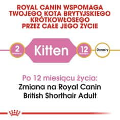 Royal Canin  British Shorthair Kitten Krmivo Suché Pro Koťata, Do 12 Měsíců