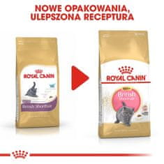 Royal Canin  British Shorthair Kitten Krmivo Suché Pro Koťata, Do 12 Měsíců