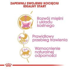 Royal Canin  British Shorthair Kitten Krmivo Suché Pro Koťata, Do 12 Měsíců