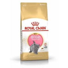 Royal Canin  British Shorthair Kitten Krmivo Suché Pro Koťata, Do 12 Měsíců