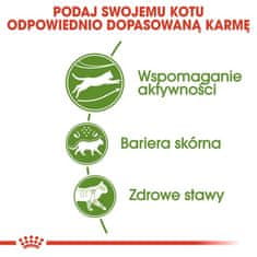 Royal Canin  Outdoor Krmivo Pro Dospělé Kočky, Které Vycházejí Ven