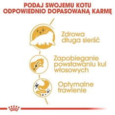 Royal Canin Persian Adult Krmivo Pro Dospělé Kočky Perského Plemene 400