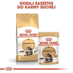 Royal Canin  Maine Coon Adult Krmivo Pro Dospělé Kočky Plemene Maine Coo 4kg