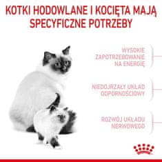 Royal Canin  Mother&Babycat Krmivo Suché Pro Březí, Laktující Kočky