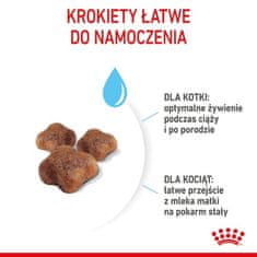 Royal Canin  Mother&Babycat Krmivo Suché Pro Březí, Laktující Kočky