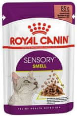 Royal Canin Sensory Smell V Omáčce Krmivo Mokré Pro Dospělé Kočky Sáček