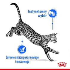 Royal Canin Indoor Sterilised Jelly Krmivo Pro Dospělé Kočky Sterilní 85g