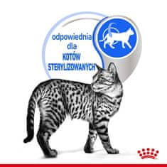 Royal Canin Indoor Sterilised Jelly Krmivo Pro Dospělé Kočky Sterilní 85g