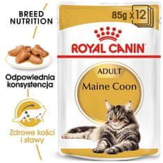Royal Canin  Maine Coon Krmivo Mokré V Omáčce Pro Dospělé Kočky Plemene Maine C