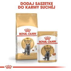 Royal Canin  British Shorthair Krmivo Mokré V Omáčce Pro Dospělé Kočky Plemene