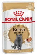 Royal Canin  British Shorthair Krmivo Mokré V Omáčce Pro Dospělé Kočky Plemene