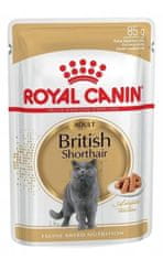 Royal Canin  British Shorthair Krmivo Mokré V Omáčce Pro Dospělé Kočky Plemene