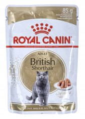 Royal Canin  British Shorthair Krmivo Mokré V Omáčce Pro Dospělé Kočky Plemene 85g