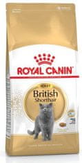 Royal Canin  British Shorthair Adult Krmivo Pro Dospělé Kočky Plemene Br 4kg