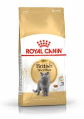Royal Canin  British Shorthair Adult Krmivo Pro Dospělé Kočky Plemene Br